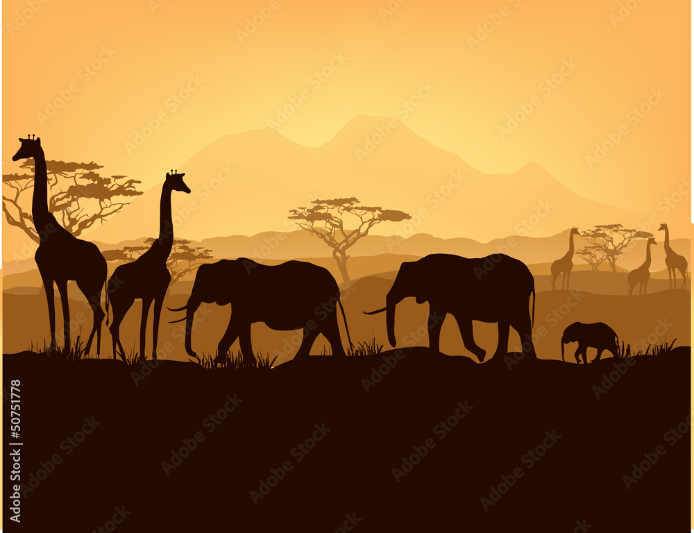 Naklejka premium African animals silhouettes in sunset