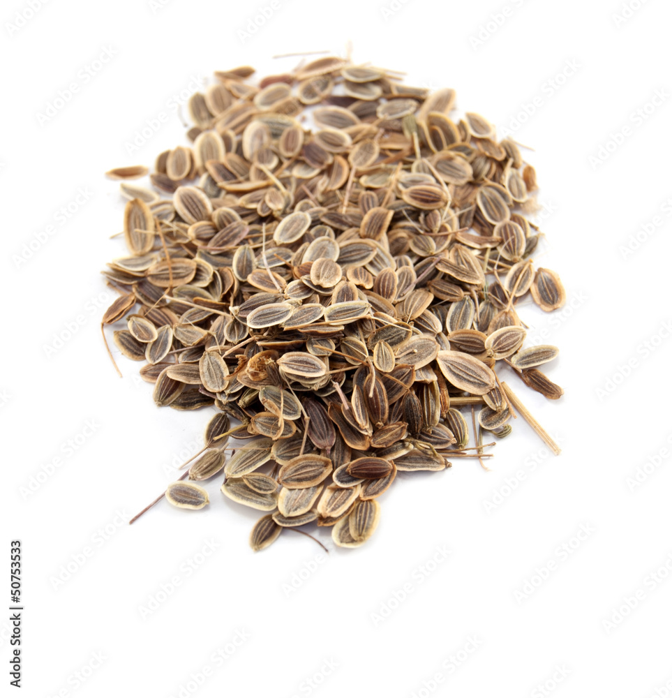 seed of dill