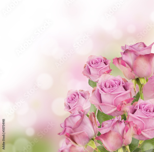 Pink roses bouquet with free space for text