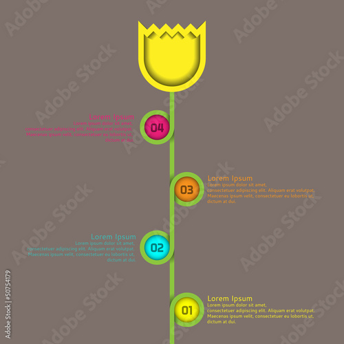 Infographic Flow Chart Flower Tulip - Vector Illustration