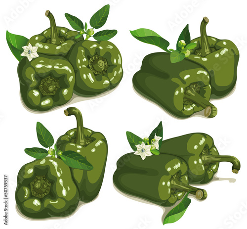 set of green pepper