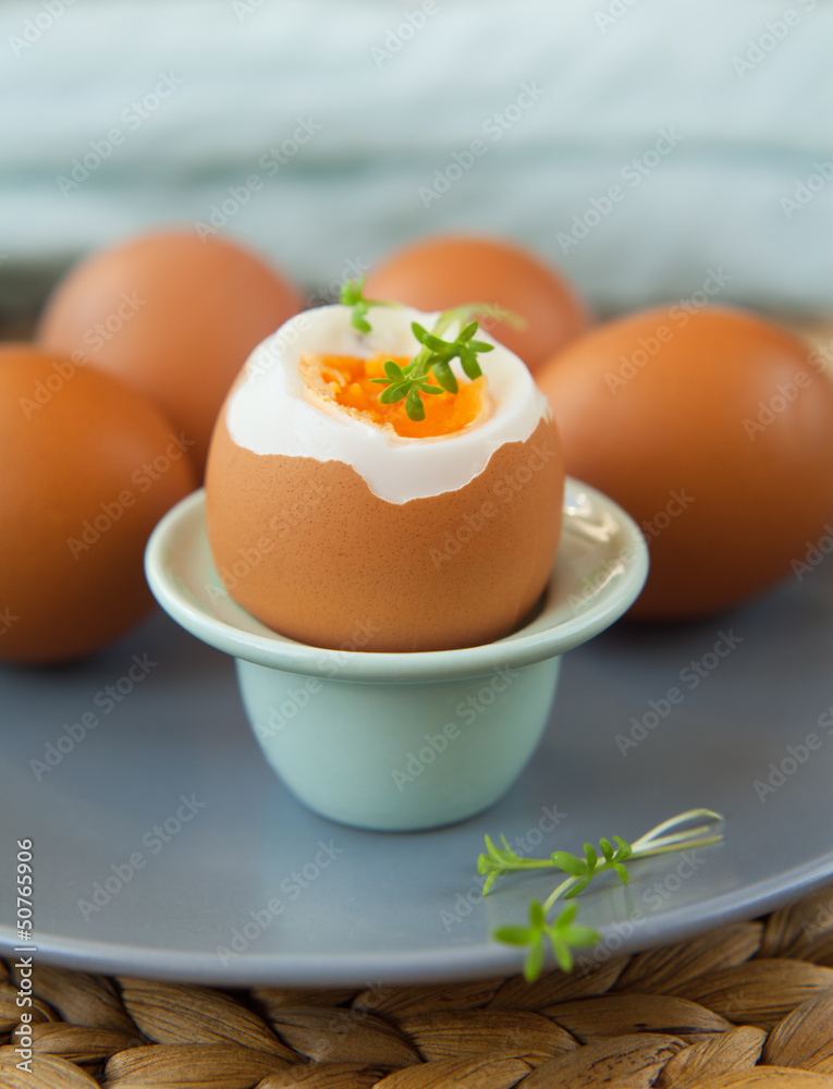 egg soft-boiled boiled - obrazy, fototapety, plakaty 