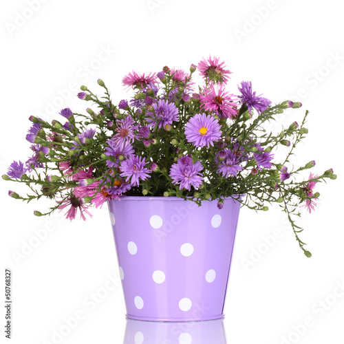 beautiful bouquet of purple flowers in metal pot isolated