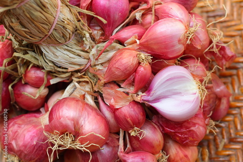 Shallot - asia red onion