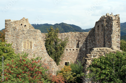 Ruines du château de Badenweiler en Allemagne photo