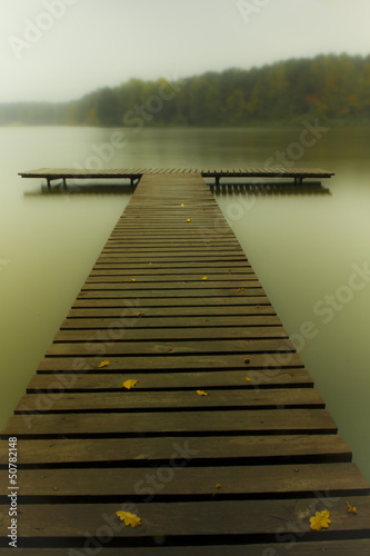 Obraz na płótnie Pier and trees