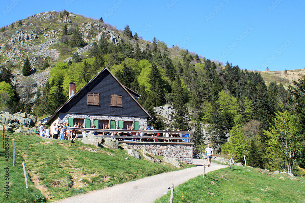 Paysages de la vallée de Munster