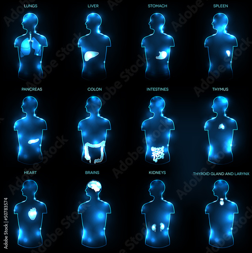 Human anatomy abstract design