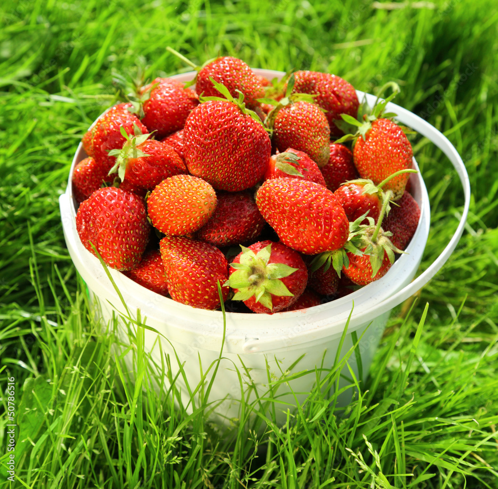 Ripe strawberry in basket on grass Ripe strawberry in basket on grass