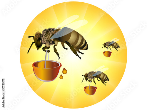 Bees with honey