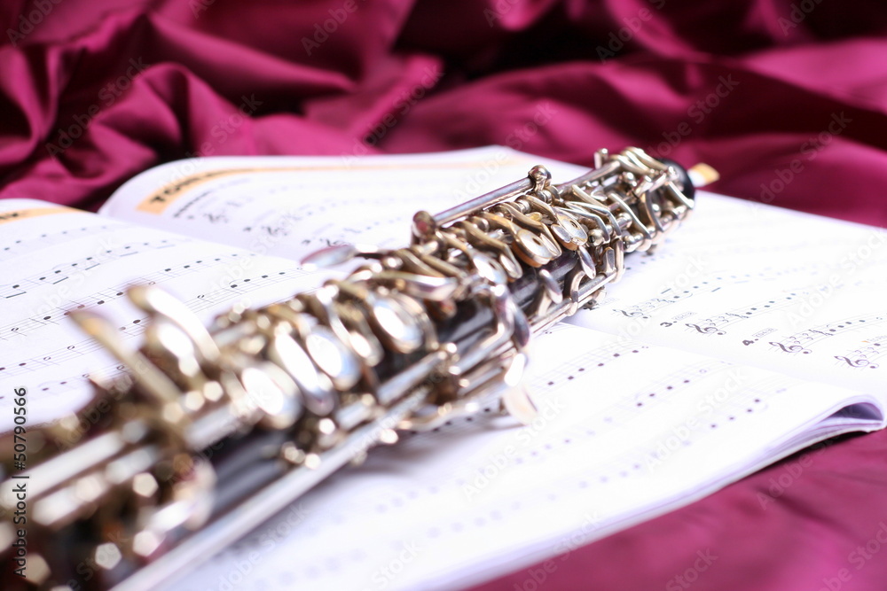 Obraz premium Oboe