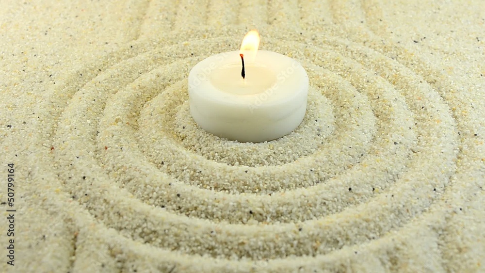 zen 2503a