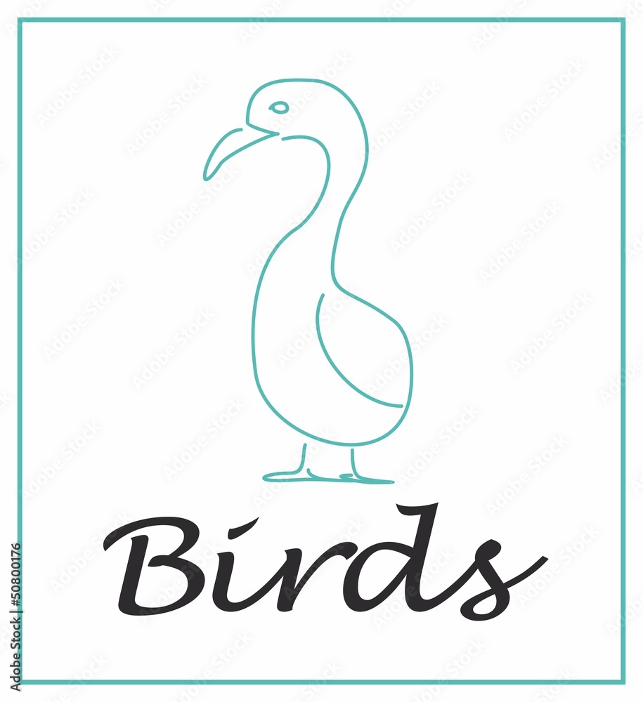 Obraz premium птица