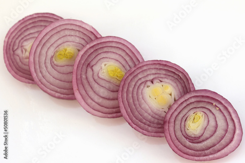 onion on the white background