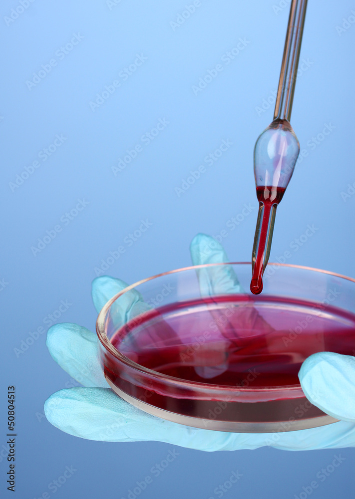 Laboratory pipette with drop of chemical liquid over Petri dish Laboratory pipette with drop of chemical liquid over Petri dish