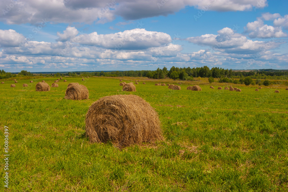 Round bale of straw in the meadow