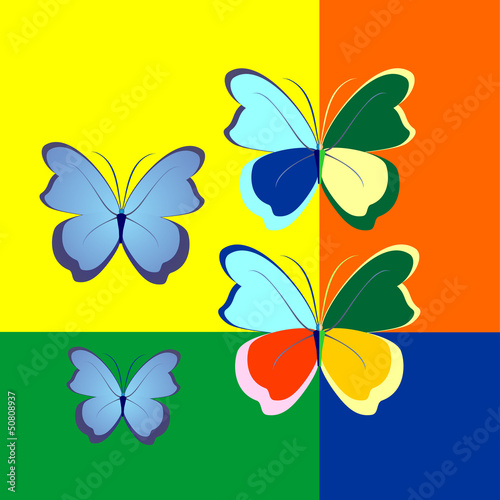 illustration of butterflies in contrasting color