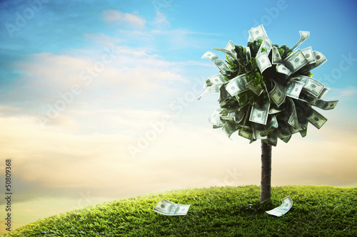 concept, money tree on grass