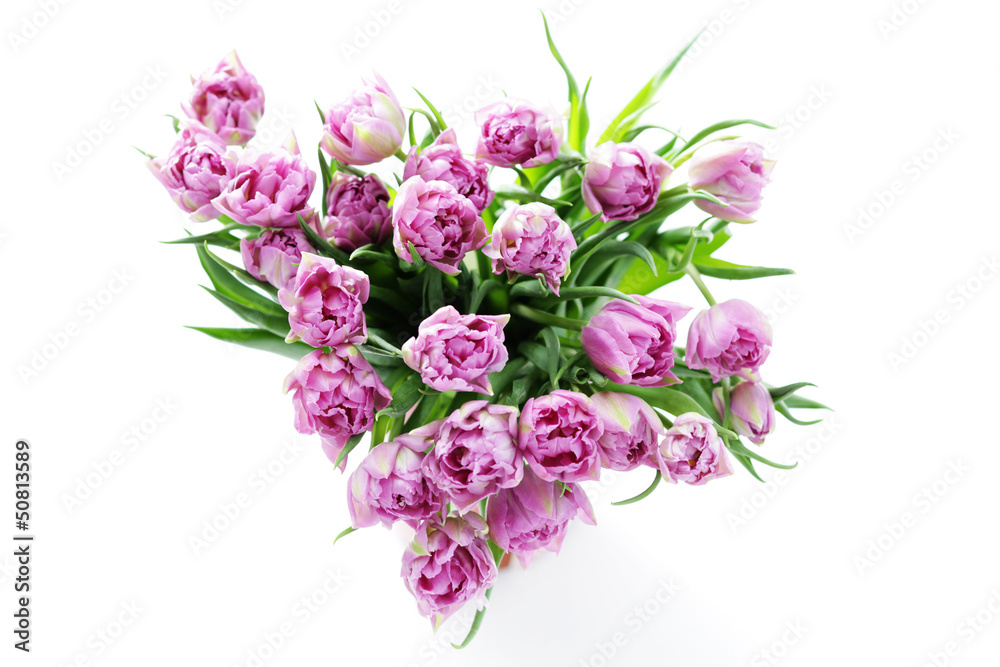 lovely pink lovely pink