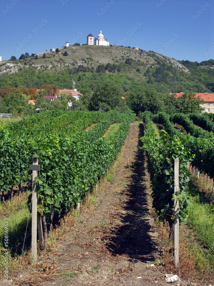 Czech Republic - Mikulov (Svaty kopecek) with vineyard