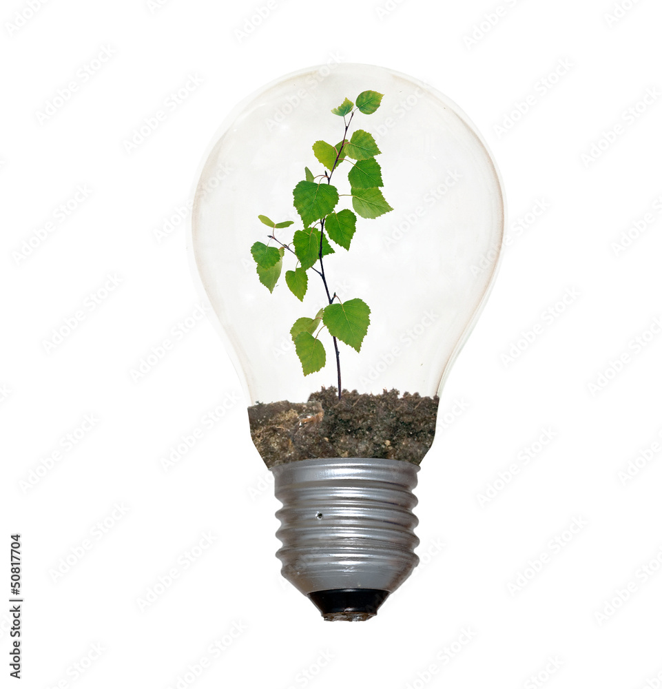 Incandescent light bulb with a plant as the filament Incandescent light bulb with a plant as the filament