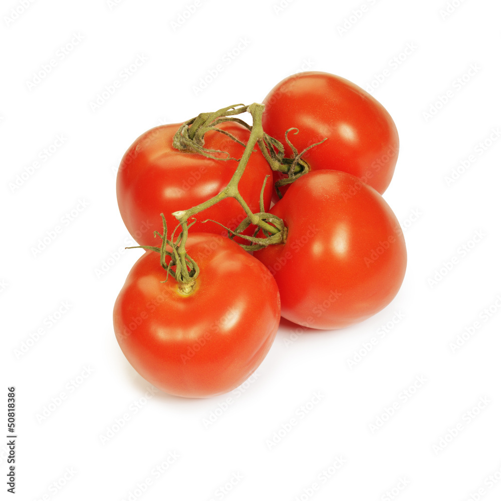 Tomatoes on the vine. Tomatoes on the vine.