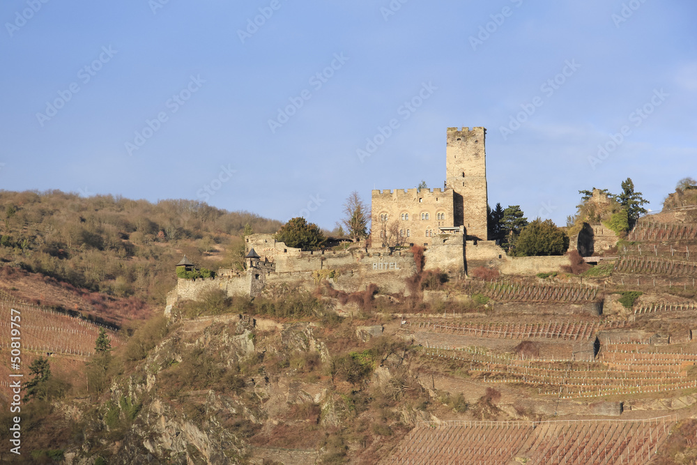 Rhine River Castle Ruins Germany Rhine River Castle Ruins Germany