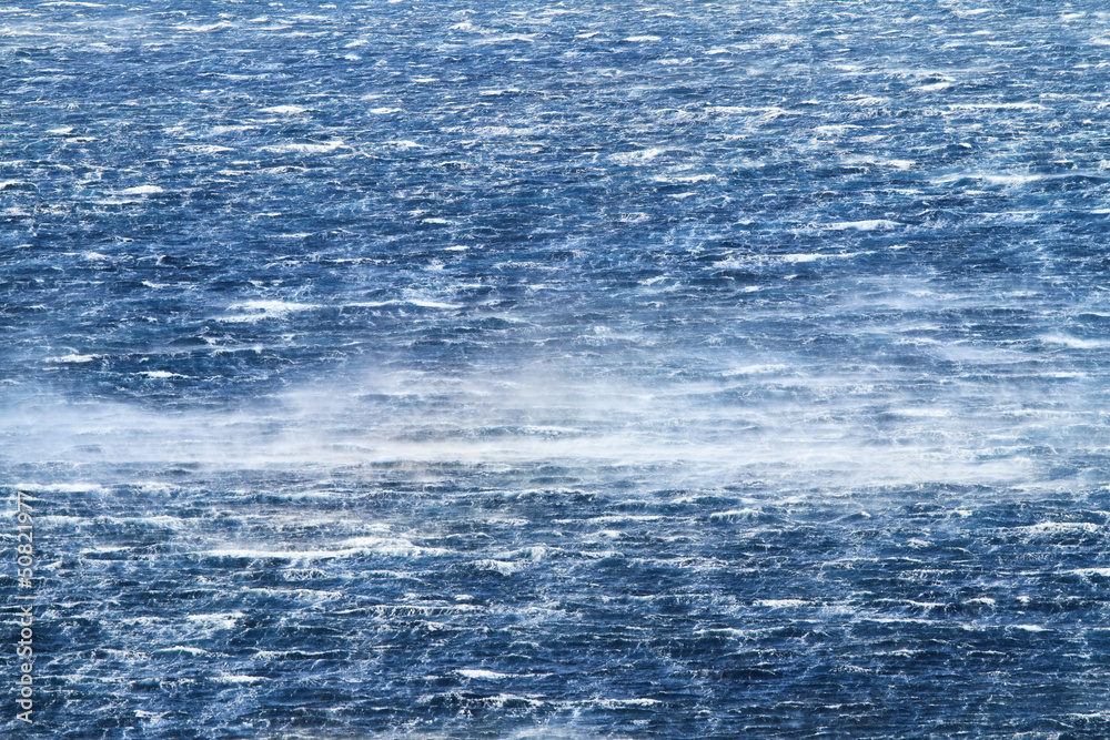 Fototapeta premium Raging sea with furious waves