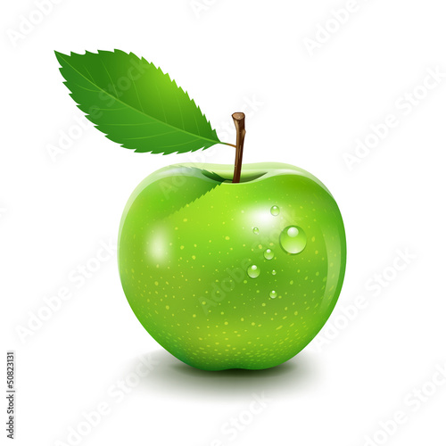 Apple and leaf, Vector illustration