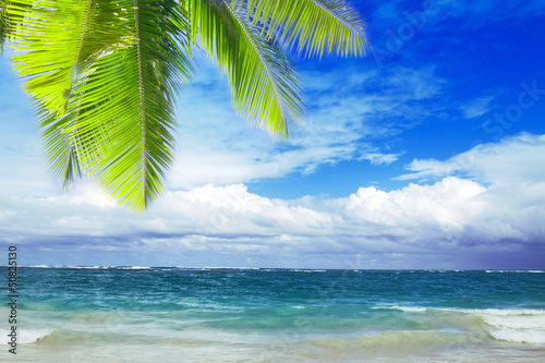 Fototapeta Naklejka Na Ścianę i Meble -  Beautiful tropical beach with clear ocean and palm trees 