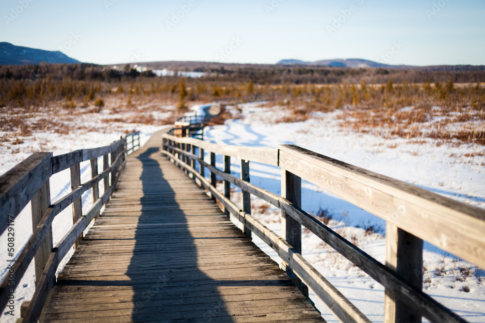 Fototapeta premium The bridge in the field