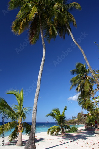 Plage - Antilles