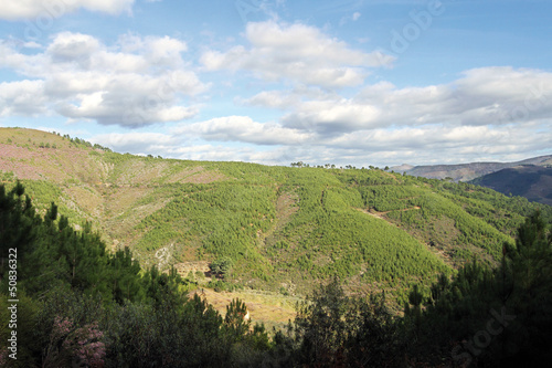 Paisaje de montaña, Sauceda, España
