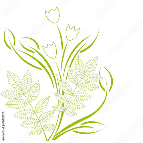 grüne tulpen