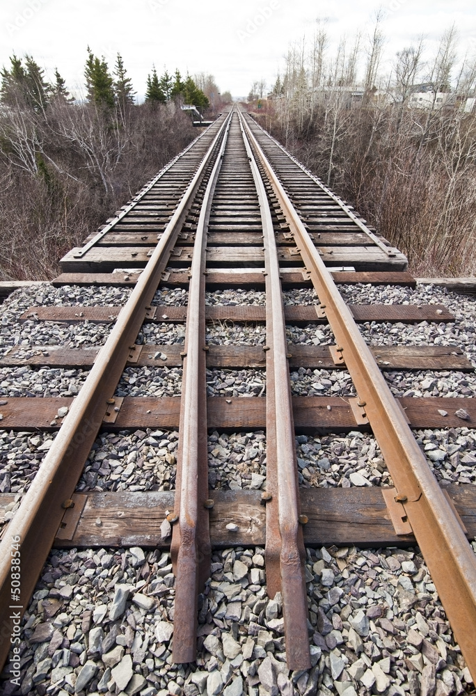 Naklejka premium Train track bridge.
