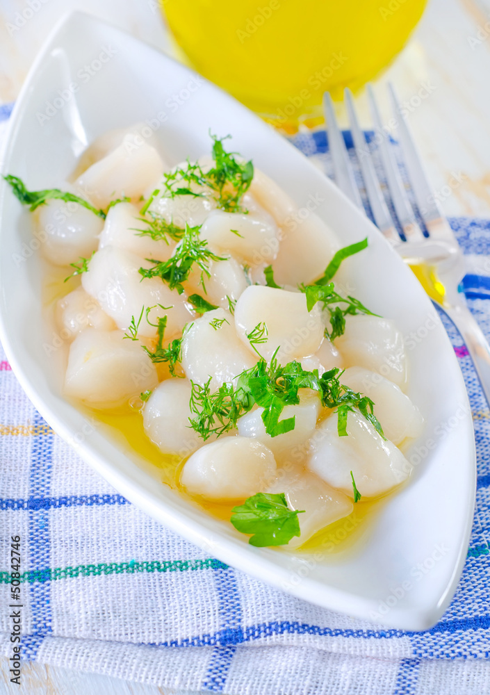 scallop scallop