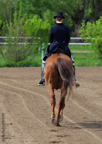 Equestrian sport © horsemen