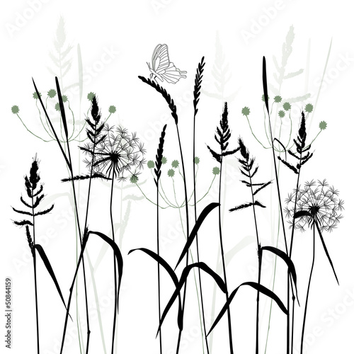 Obraz Łąka latem, wektor roślin