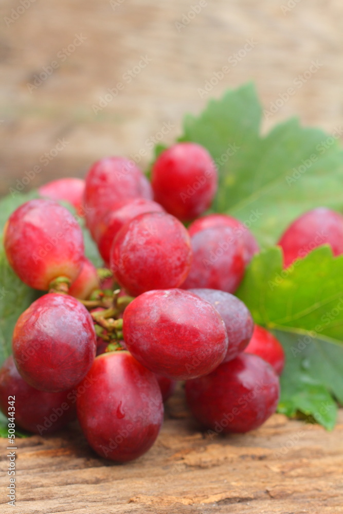 Grapes Grapes