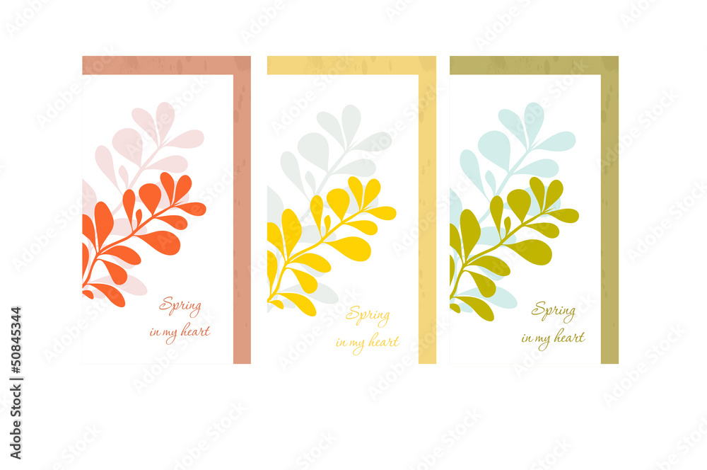 barberry card vector