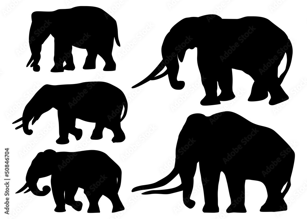 five elephant silhouettes isolated on white five elephant silhouettes isolated on white