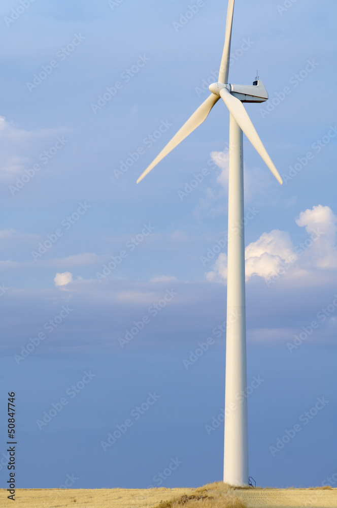 wind turbine