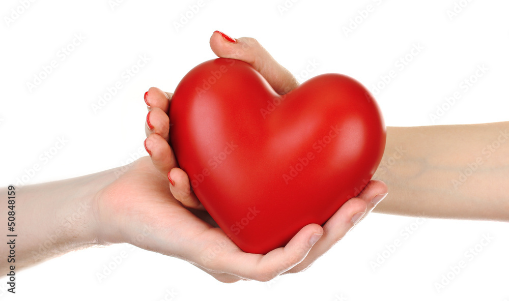 Obraz premium Red heart in woman and man hands, isolated on white