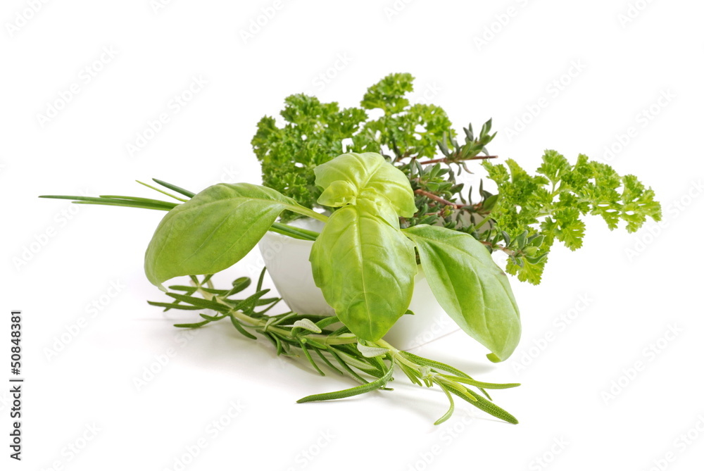 Herb Herb