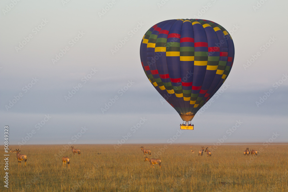 Obraz premium safari in mongolfiera