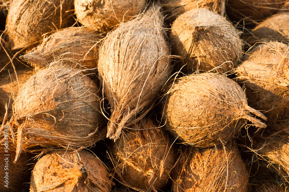 Tropical fruits natural background. Coconuts Tropical fruits natural background. Coconuts