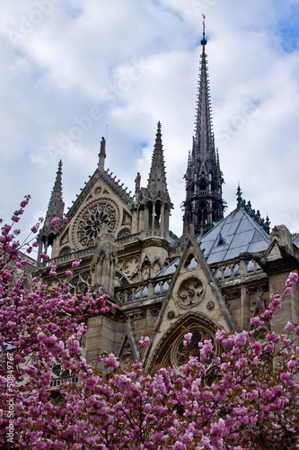 Notre Dame in Spring