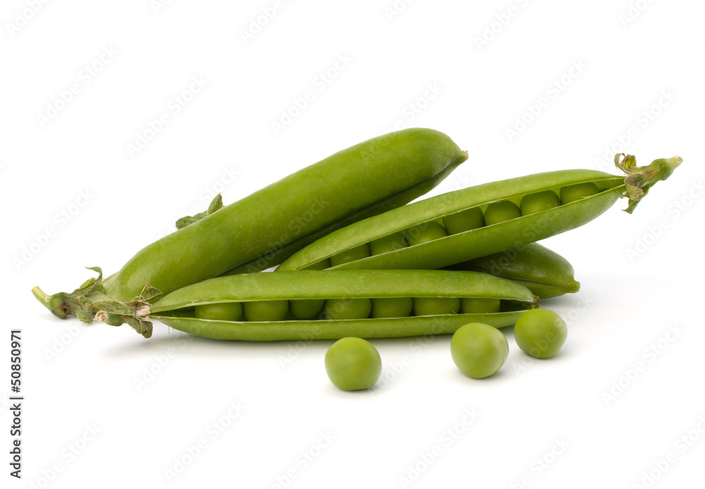 Fresh green pea pod Fresh green pea pod