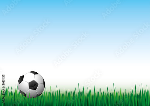 soccer ball on green grass background