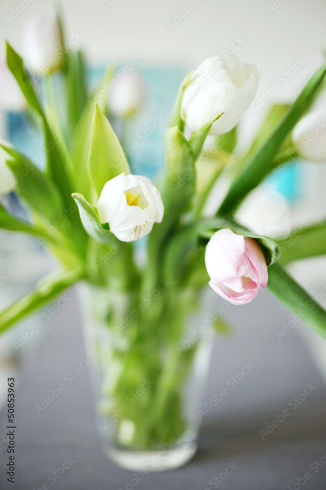 Pink and white tulips